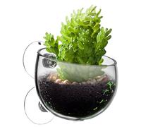 Befeixue Soporte para Plantas de Acuario Transparente, Taza para Plantas acuáticas - Macetas para Plantas de Acuario con ventosas | Soporte para pecera con Plantas vivas de camarón Rojo, Maceta para
