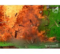 befores & afters - #37 - The art of miniatures