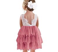 Beganly Vestido de fiesta para niñas de encaje con espalda en V, sin mangas, mullido, tul, vestido de fiesta de princesa, vestido de fiesta de flores, Rosa polvorienta multicapa, 4 años