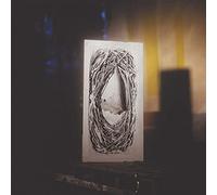 Begayer - Terrain a Mire - une Maison Retine - Contrainte par le Toit (Vinyl) [Vinilo]