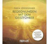 Begegnungen mit dem Geistführer: Meditationen zum Buch: "Entdecke Deinen Geistführer". CD Standard Audio Format, Lesung