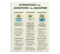 Beginner hydroponic guide poster gardening benefits