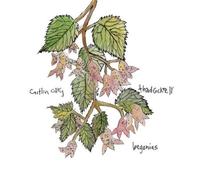 Begonias by CAITLIN / COCKRELL,THAD CARY (2005-06-14)