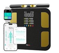 Behnke Báscula inteligente, 8 electrodos, masa muscular de grasa corporal, analizador de composición corporal de alta precisión con BMR, medición de músculos y grasa, pantalla grande, capacidad de 400