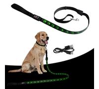 Behogan Collar luminoso LED para perros: 1 - 1,2 m, recargable por USB, reflectante, collar de perro luminoso, material de PVC, correa LED para perros grandes, medianos y pequeños, luz (verde)