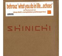 Behrouz - What We Do in Life [Vinilo]