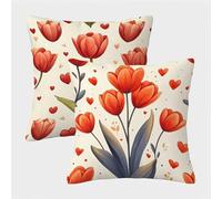 Beige Fundas Cojines 60x60 Juego de 2, Flor Fundas Cojines 60x60, Suave Terciopelo Cuadrado Pillow Case con Cremallera Oculta, Cushion Covers para Decoracion Hogar Sofás Sala de Estar Regalo A-5126