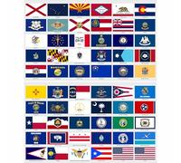 beihaasnatuerlich Juego de 60 pegatinas de bandera de país de Estados Unidos, 2 hojas, resistentes a los rayos UV, impermeables, tamaño 5 x 3 cm, para modelismo, maleta, decoración