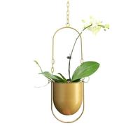 Beihaoer Maceta de decoración colgante de metal, estilo bohemio, cesta colgante de techo, plantador colgante para plantas de interior, plantas suculentas, cactus (dorado)
