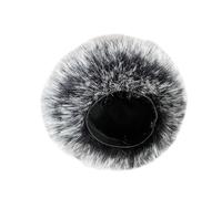 Beimus Protector de parabrisas para micrófono, filtro de micrófono, parabrisas para grabadora portátil H4essential, cubierta de micrófono, accesorio de grabadora de espuma de viento