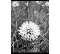 "Being Afriad of what you don't understand