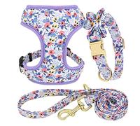 Beirui Bonito conjunto de collares de perro, arneses y correas, collar de perro ajustable y correa con flor, arnés de malla suave para perros pequeños y medianos (azul, XS)