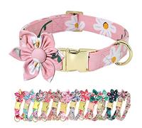 Beirui Lindos collares para perros pequeños, medianos y grandes, collares con patrón floral con flor para bodas y vacaciones (margarita, XS)
