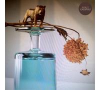 Beirut Gallipoli (Vinyl) 12" Album (Importación USA)