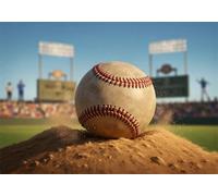 Béisbol Puzzle de 500 Piezas para Adultos, Rompecabezas Adultos 500 Piezas Estadio Incluye Póster, Entretenimiento Educativo, Juego de Habilidad para Toda La Familia, Medidas:52x38cm