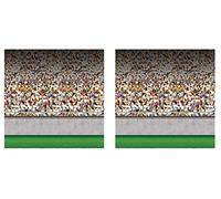 Beistle S52095AZ2 Lower Deck Stadium Photo Backdrops 2 Piece Sports Party Decorations Birthday Football Décor Game Day Supplies, 4' x 30', Multicolored