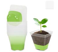 BEIUEN Pack de 10 macetas de 8 cm transparentes con base de silicona. Reusable Plastic Square Plant Pots, Transparentes Plant Pots for Suculentas y Seedlings
