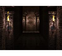 BELECO 2.1x1.5m Tela Castillo Gótico Telón De Fondo Antiguo Ladrillo Negro Pared De Piedra Arcos Antorchas Mazmorra Castillo Medieval Escena Noche De Halloween Fondo Decoraciones De Fiesta Medieval