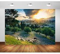 BELECO 2.1x1.5m Tela Ciudad Vieja de Jerusalén Fondo con vista al Atardecer Cúpula de la Roca Fondo de la Mezquita Fondo del Paisaje Urbano de Jerusalén Accesorios para fotografías de Viaje