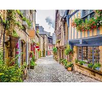 BELECO 2.1x1.5m Tela Fondo de Tema Italiano Ciudad Italiana Calle adoquinada Callejón Estrecho Paisaje Fondo fotográfico Italiano Decoración de Fiesta Italiana Accesorios de Tiro