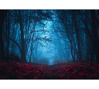 BELECO 3.6x2.5m Tela Bosque Niebla Misterioso Fondo Parque Oscuro Horror Hojas Rojas Bosque Desconocidos Halloween Noche Vampiro Bruja Mago Fiesta Decoración Accesorios