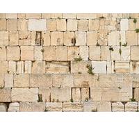 BELECO 3x2m Tela Muro Occidental - Jerusalén Lamento, Ciudad Vieja Israel - Judaísmo Espiritualidad Culto Sagrado Iglesia Evento Salón Decoración Cabina Estudio Accesorios