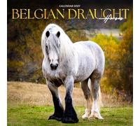 Belgian Draught Horse Calendar 2027: Heavy Hooves and Gentle Strength