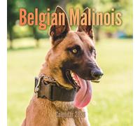 Belgian Malinois Calendar 2026: 12-Month Organizer for a Productive Year