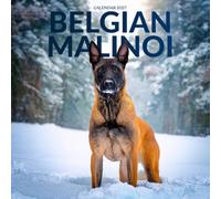 Belgian Malinois Calendar 2027: Alert Ears and Focused Eyes