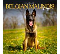 Belgian Malinois Calendar 2027: Alert Eyes and Working Dog Moments