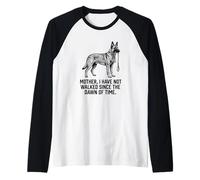 Belgian Malinois Camiseta Manga Raglan