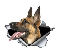 Belgian Malinois Pegatinas 3D Efecto Rasgado Impermeable Reflectante Diseño de Perro Pegatinas para Coche, Portátil, Nevera, Parachoques, Ventanas y Decoración del Hogar (25 cm/9.8 pulgadas)