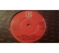 Believe It Or Not (Theme From "Greatest American Hero")