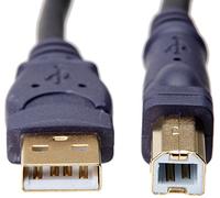 Belkin f3u133 V16-gld 4.8 M USB A USB B Macho a Macho Negro Cable USB - Cable USB (4,8 m, USB a, USB B, Macho/Macho, Negro)