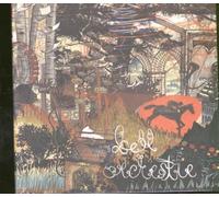 Bell Orchestre – The Colour of Light – CD – Importación USA