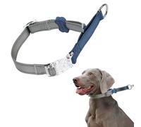 BELLA & PAL Collar Martingale para perros, ajustable, reflectante con hebilla de liberación rápida, collar deslizante limitado a prueba de escape para caminar y entrenar, ideal para perros pequeños,