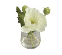 BELLAFIORA 20AMAZ041504 - Flor Artificial, Amapola, Color Crema