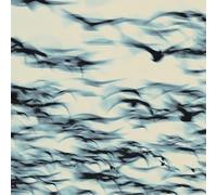 Bellbird - The Call [Vinilo]