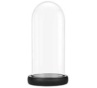 Belle Vous Campana de Cristal con Base Negra de Madera, 26,5 cm de Alto, Campana de Cristal Transparente con Bandeja para lámparas LED, centros de Mesa y antigüedades