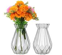 Belle Vous Jarrones Decorativos Modernos Cristal Transparente (Pack de 2) 15 cm - Florero Cristal Cilindro Decorativo - Set para el Hogar, Centro de Mesa y Decoración en la Oficina
