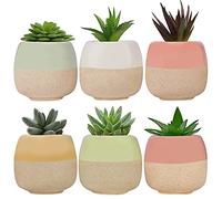 BELLE VOUS Mini Macetas Decorativas de Cerámica (Pack de 6) 6 x 5,5 cm - Set Tiestos Decorativos con Agujero de Drenado - Hogar, Oficina, Interior y Jardín - Maceta Cactus y Suculentas