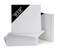 Belle Vous Pack de 14 Lienzos para Pintar en Blanco 25 x 25 cm - Set Panel de Lienzo Preestirado - Aptos para Pintura Acrílica y al Óleo - Lienzo Blanco para Bocetos y Dibujos