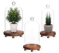 BELLE VOUS Pack de 3 Campanas Decorativas de Vidrio con Base de Madera Marrón - Set Cupula Cristal Pequeña, Mediana y Grande - Vitrina de Cristal Transparente - Decorar, Luces de Hada, Antigüedades