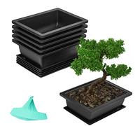 BELLE VOUS Pack de 6 Set Maceta Bonsai Entrenamiento con Bandejas de Humedad 16,5 x 22,5 cm - Macetas Plastico para Sembrar Flores/Suculentas - Maceta con Plato y Malla - Hogar, Jardín