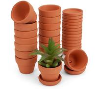 BELLE VOUS Set de Macetas Pequeñas de Terracota sin Acabar de 5 cm - 16x Maceta de Barro con Orificios de Drenaje y con Platillos - para Plantas Suculentas Cactus Manualidades