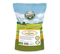 Bellfor Cubos de pulmón de Ciervo para Perros 200 g, Snack Natural hipoalergénico sin Cereales, sin Gluten y sin aditivos, Aperitivo Saludable para Perros sensibles de Todas Las Edades
