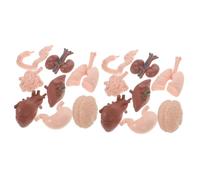 BELLIFFY 16 Piezas De Modelo De Órgano Humano, Juguete De Anatomía Humana, Modelos De Anatomía Humana, Simulación De Órganos Del Cuerpo Humano, Accesorio De Órgano, Modelo De Órgano De