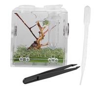 BELLIFFY Caja Terrario Transparente para Reptiles con Pinzas y Gotero Recinto Seguro y Ventilado para Cría de Mascotas Adecuado para Arañas y Pequeños Reptiles
