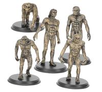 BELLIFFY Figuras de Modelos de Evolución Humana Juguetes Didácticos Educativos para Niñas Figuras de Plástico Seguro para Reconocimiento y Aprendizaje Casa o Escuela