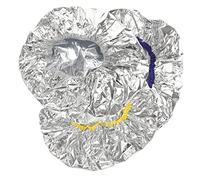 BELLIFFY Gorros Capilares Aceite de Hornear 3 Piezas, Diseño Elástico para Uso en Salón y Hogar, Mantenimiento Constante, Adecuado para Procesos de Acondicionamiento